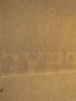 DESCRIPTION DE L'EGYPTE.  Polypes. Caténaires, Chlidonies, Gémellaires. (Histoire Naturelle, planche 13) - Edition Originale - Edition-Originale.com