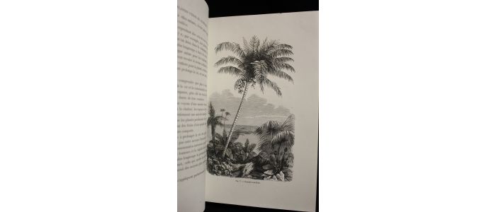 RAMBOSSON : Histoire et légendes des plantes utiles et curieuses - Edition-Originale.com