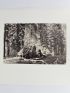 CLARK : Photographie de Galen Clark posant devant le séquoia Grizzly Giant à Yosemite Park Californie - First edition - Edition-Originale.com