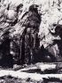 CLARK : Photographie de Galen Clark posant devant le séquoia Grizzly Giant à Yosemite Park Californie - First edition - Edition-Originale.com