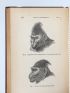 DARWIN : The expression of the emotions in man and animals  - First edition - Edition-Originale.com
