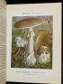 DUMEE : Nouvel atlas de poche des champignons - Edition-Originale.com