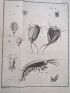 GEOFFROY : Histoire abrégée des insectes qui se trouvent aux environs de Paris - Edition Originale - Edition-Originale.com