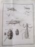 GEOFFROY : Histoire abrégée des insectes qui se trouvent aux environs de Paris - Edition Originale - Edition-Originale.com