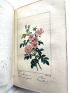 MALO : Histoire des roses - First edition - Edition-Originale.com