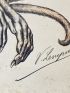 REINACH : [AFFAIRE DREYFUS] Musée des horreurs - Affiche originale lithographiée en couleurs - n°1 