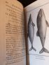 SONNINI : Histoire naturelle, générale et particulière, des cétacés - Erste Ausgabe - Edition-Originale.com