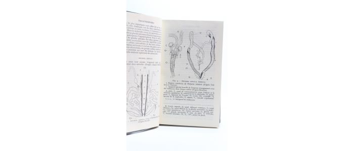 COLLECTIF : Zoologie Tome II - Edition Originale - Edition-Originale.com