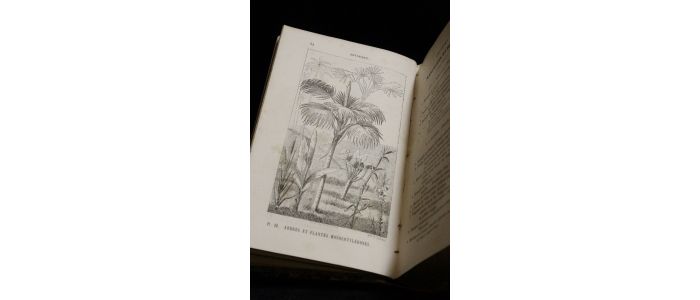DECAISNE : Gravures de l'almanach du bon jardinier - Edition Originale - Edition-Originale.com