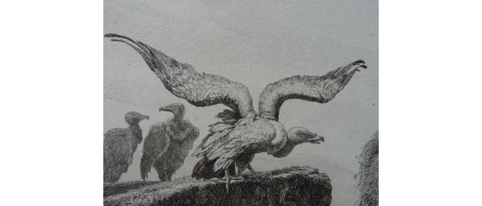 La Fontaine, Fables, Les vautours et les pigeons. Eau forte originale sur papier Vergé - First edition - Edition-Originale.com