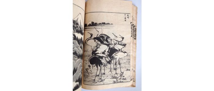 HOKUSAI : Hokusai Manga. 14 - Erste Ausgabe - Edition-Originale.com