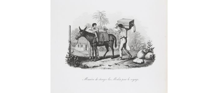 WIED-NEUWIED : Chasse de l'Onze / Manière de charger les Mulets pour le voyage - Voyage au Brésil, Dans les années 1815, 1816 et 1817, par S. A. S. Maximilien, Prince de Wied-Neuwied.  - Edition Originale - Edition-Originale.com
