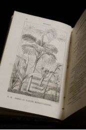 DECAISNE : Gravures de l'almanach du bon jardinier - Edition Originale - Edition-Originale.com