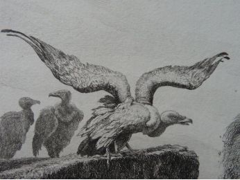La Fontaine, Fables, Les vautours et les pigeons. Eau forte originale sur papier Vergé - Prima edizione - Edition-Originale.com