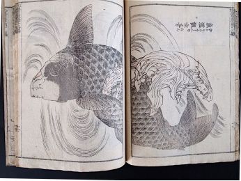 HOKUSAI : Hokusai Manga. 13 - First edition - Edition-Originale.com