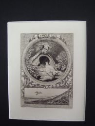La Fontaine, fables, Les deux pigeons. Eau forte originale sur papier Vergé - Edition-Originale.com
