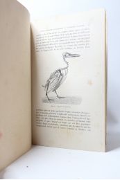 MAREY : Le vol des oiseaux - First edition - Edition-Originale.com