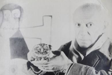 PICASSO : Photographie originale de Pablo Picasso tenant une chouette dans son atelier du Château Grimaldi à Antibes - Erste Ausgabe - Edition-Originale.com