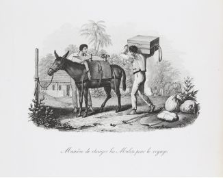 WIED-NEUWIED : Chasse de l'Onze / Manière de charger les Mulets pour le voyage - Voyage au Brésil, Dans les années 1815, 1816 et 1817, par S. A. S. Maximilien, Prince de Wied-Neuwied.  - Edition Originale - Edition-Originale.com